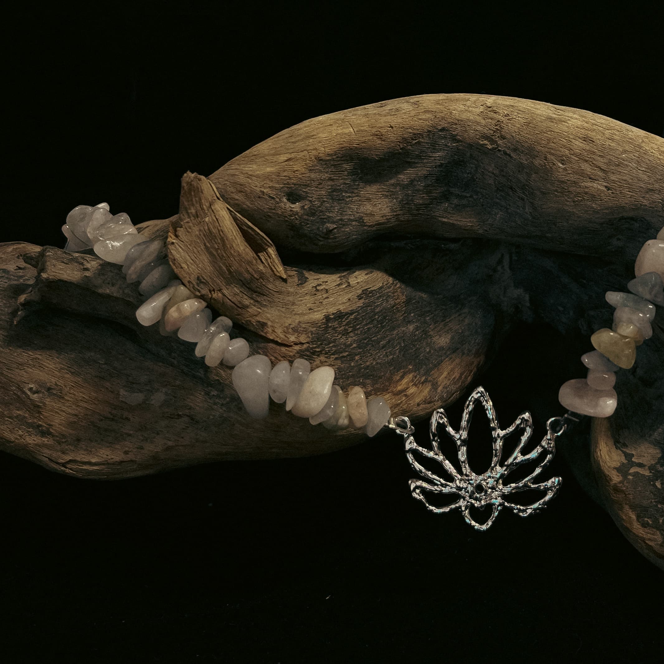 Collezione fiori di loro